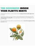 Flintts Mints Cinnamon