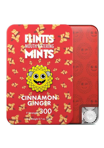 Flintts Mints Mouth Watering Oral Delights - Cinnamon